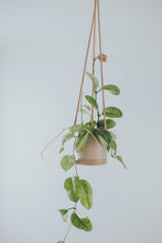 Load image into Gallery viewer, Timber Tub Hanging Planter
