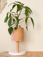 Load image into Gallery viewer, Stix &amp; Flora Leather Plant Stand / Tan and White