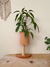 Load image into Gallery viewer, Stix &amp; Flora Leather Plant Stand / Tan