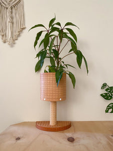 Stix & Flora Leather Plant Stand / Tan