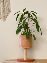 Load image into Gallery viewer, Stix &amp; Flora Leather Plant Stand / Tan