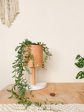 Load image into Gallery viewer, Stix &amp; Flora Leather Plant Stand / Tan and White