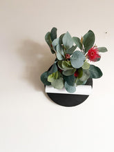 Load image into Gallery viewer, Native Wall Hanger (Eucalyptus flower seed)