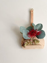 Load image into Gallery viewer, Mini Native Wall Hanger (Eucalyptus flower seed / Succulent)