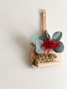 Mini Native Wall Hanger (Eucalyptus flower seed / Succulent)