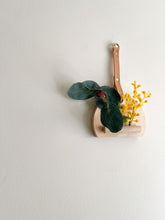 Load image into Gallery viewer, Mini Native Wall Hanger (Wattle / Eucalyptus flower gum)