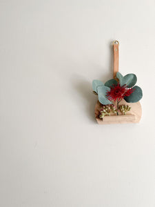 Mini Native Wall Hanger (Eucalyptus flower seed / Succulent)