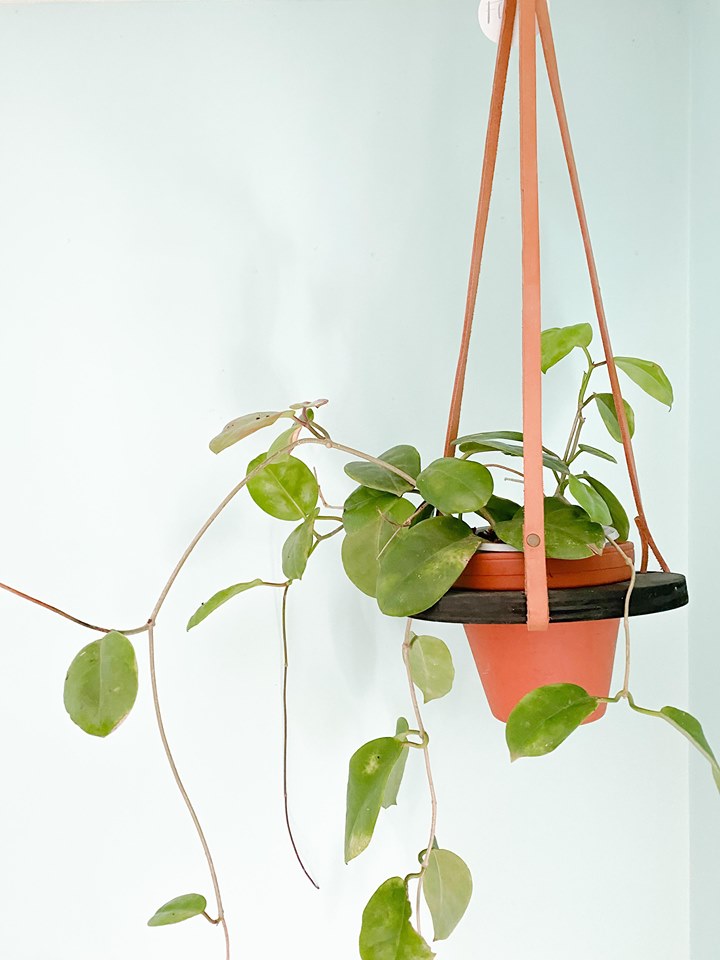 Orbit Hanging planter (black/tan)